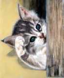chat