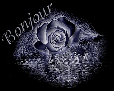 b1 e bonjour